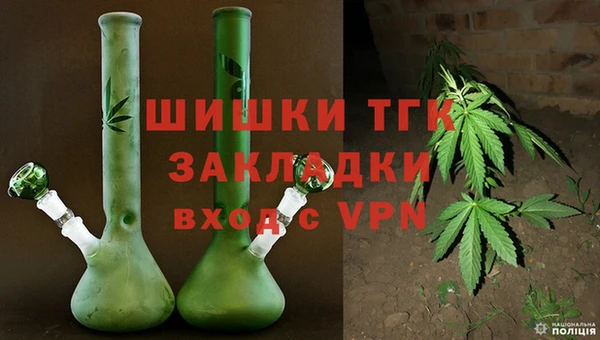 хмурый Янаул