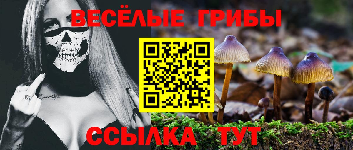 Галлюциногенные грибы мухоморы Балаково