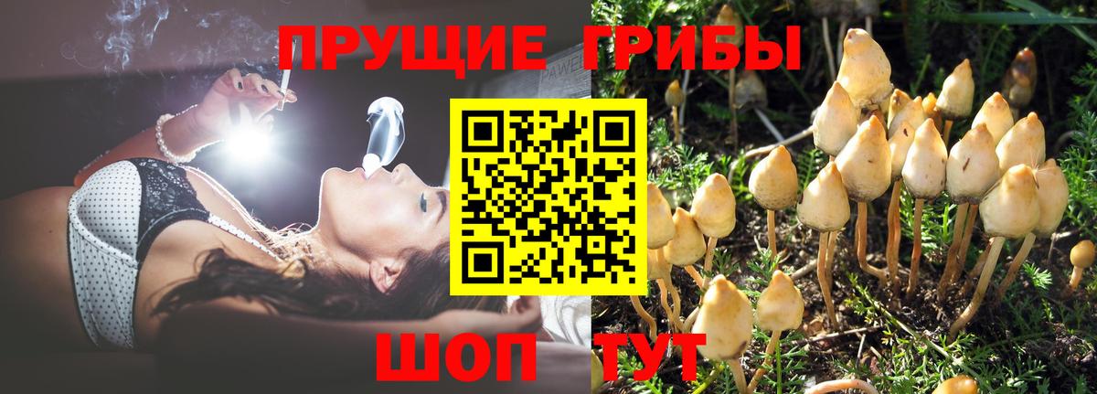 Галлюциногенные грибы MAGIC MUSHROOMS  Вход с VPN  Галлюциногенные грибы прущие грибы  Балаково 